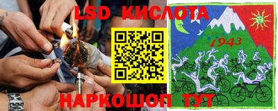 прущие грибы Камышлов