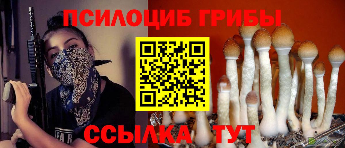 купить  сайты  Вход с VPN  Кохма  Галлюциногенные грибы прущие грибы 