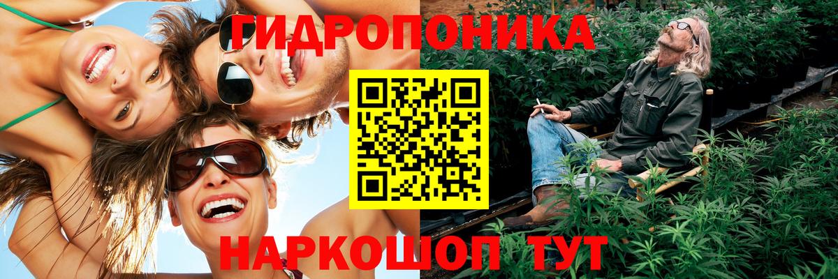 Бошки марихуана планчик  Каннабис AK-47  Каннабис сатива  Кохма  Вход с VPN 